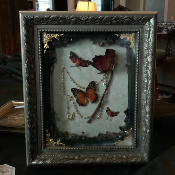 Other - Custom Framed real butterfly and leaf hoppers/lantern bugs